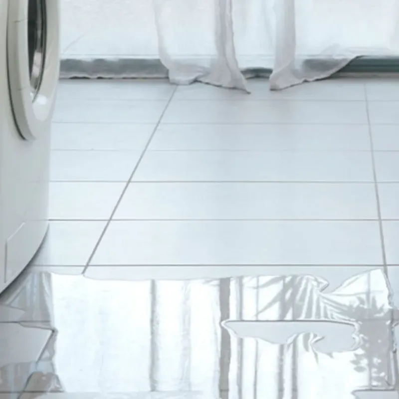 Appliance Leak Cleanup in Coal Valley, IL