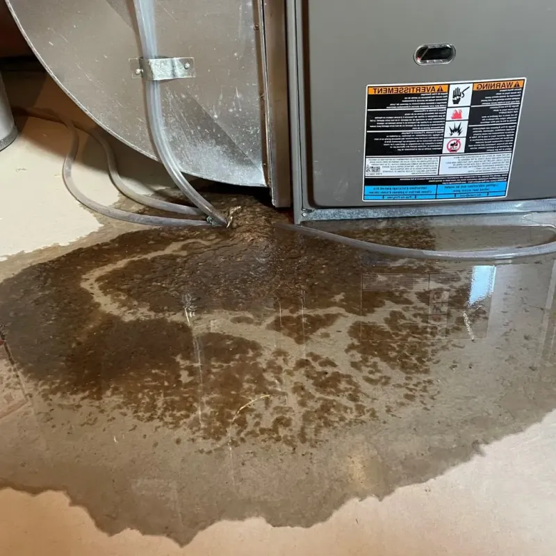Pipe Burst and Leak Restoration in Coal Valley, IL