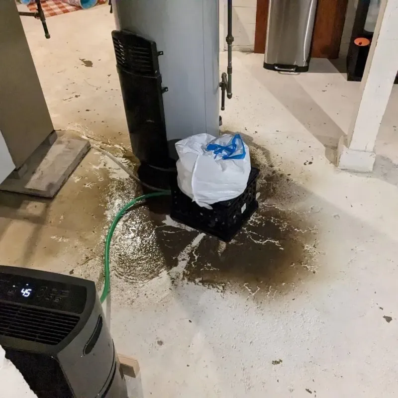 Sewage Backup Cleanup Service in Coal Valley, IL